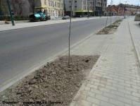 Imagine atasata: Stefan cel Mare - 2015.04.05 - 06.jpg